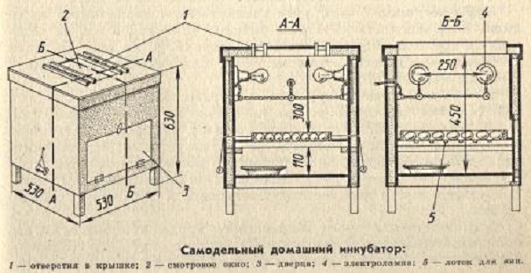 Инкубаторы для яиц как сделать Инкубаторы для яиц как сделать