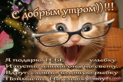 Официальный сайт ХК «Сарыарка» г. Караганда (архив) Открытки своими руками I Мастер-классы и идеи, как сделать