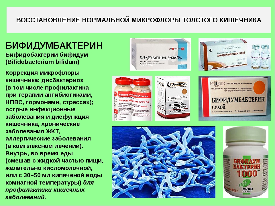 Как восстановить микрофлору кишечника в домашних условиях