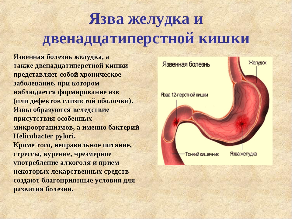 Канелонес с фаршем рецепт
