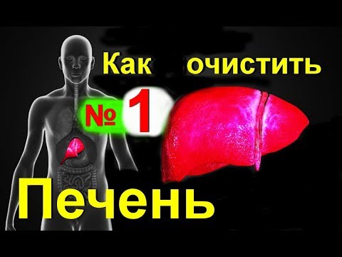 Легкое очищение печени в домашних условиях Очищение организма в домашних условиях по методу Буревой.