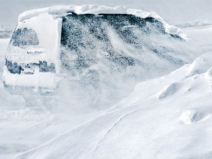 Фото c сайта waei.org