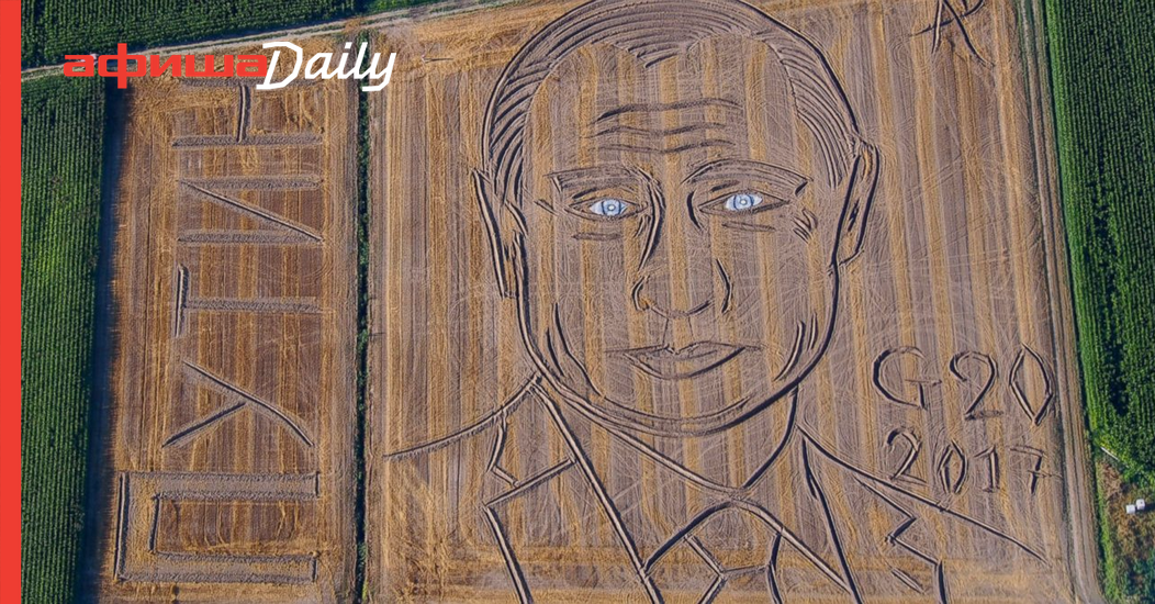 Путин на поле рисунок Путин на поле рисунок