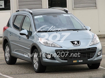 Peugeot 207 SW. Фото с сайта feline207.net