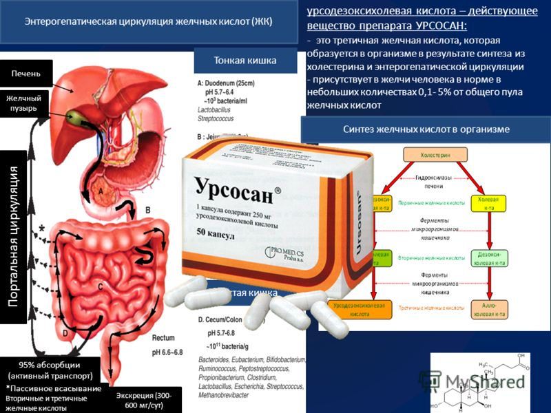 Как лечить печень при жировой дистрофии печени Как лечить печень при жировой дистрофии печени
