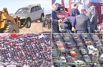 Фотографии с сайта ctv.ca