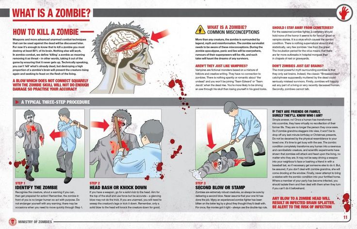 The Zombie Survival Guide By Max Brooks
