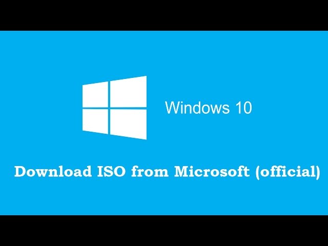 Internet Download Manager: the fastest download