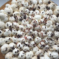 Фотография рецепта Классический баноффи пай (Banoffee pie) автор Lera Panaiotidi