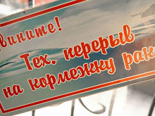 Как варить раков и откуда они берутся