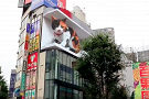 Огромного 3D-кота поместили на здание в Токио