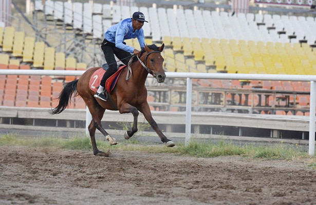 Buzkashi Huzhand Epadrom Buzkashi Huzhand Epadrom Garibi Hudzhand Shahriston Hudzhand Buzkashi Chashmasor Buzkashi Zafarobod Kobra Buzkashi