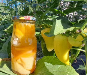 Фотография рецепта Сладкий перец на зиму