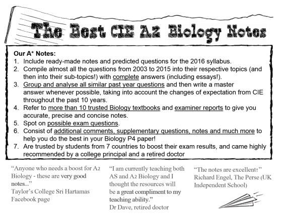 Sample English Essays Sparkcollege Sample Essays Sample Graduate School Essays I Am Topic For English Essay also Argumentative Essay Thesis Statement Examples Who I Am Essay Samples Healthy Eating Essays