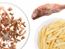Можно ли повторно замораживать продукты
