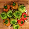 Фотография рецепта Перец, фаршированный запеченными овощами с рисом и чечевицей автор Иван Соколов