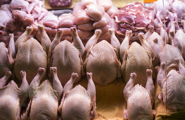  Россияне рискуют остаться без&nbsp;мяса птицы из-за&nbsp;дефицита яиц 