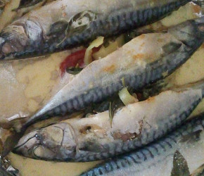Фотография рецепта Скумбрия с овощами в духовке