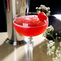 Фотография рецепта Арбузные импульсы автор Mercedes  Bar