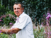 Как делают иван-чай