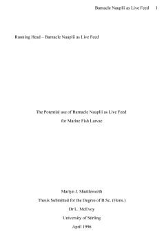 Essay Writing Examples For High School Value Of A College Education Essay Uk After High School Essay also Health Essay Sample Essay On Mental Health Issues Cause And Effect Essay Papers