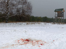 Человек и загон