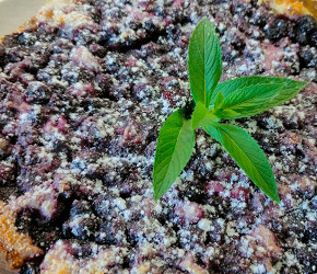 Фотография рецепта Творожная запеканка со смородиной