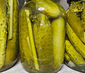Фотография рецепта Огурцы, маринованные с листьями дуба и смородины