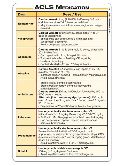 Best 25+ Critical care nursing ideas on Pinterest Cardiac - nursing assessment template Best 25+ Critical care nursing ideas on Pinterest Cardiac - nursing assessment template