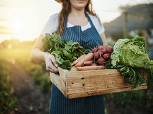 Какие продукты готовить в начале лета