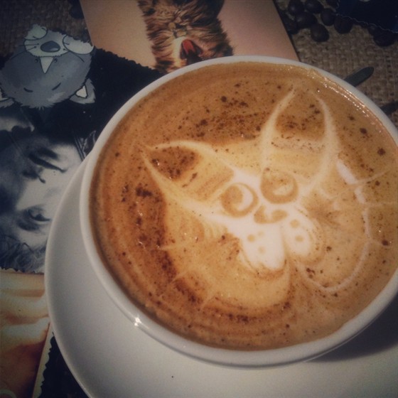 Сны любимого кота калуга