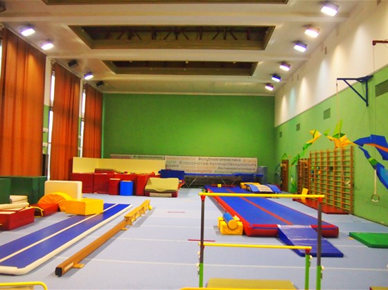 Европейский гимнастический центр в Лужниках – афиша