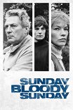 Воскресенье, проклятое воскресенье / Sunday Bloody Sunday