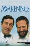 Пробуждение / Awakenings