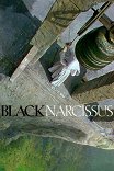 Черный нарцисс / Black Narcissus