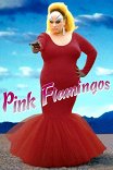 Розовые фламинго / Pink Flamingos