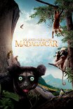 Остров лемуров: Мадагаскар / Island of Lemurs: Madagascar