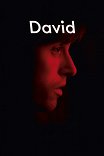 Дэвид / David