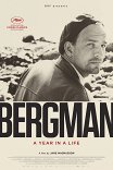 Бергман / Bergman — ett år, ett liv