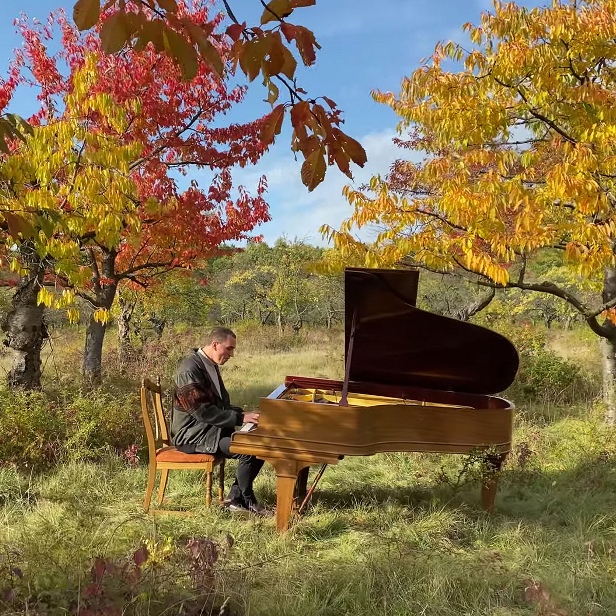 Композитор Мартин Кольштедт играет в лесу музыку с нового— грандиозного — альбома
