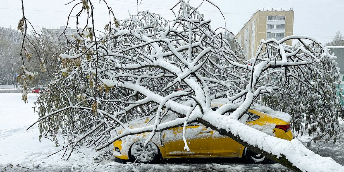 Снег в конце апреля: что происходит в российских регионах из‑за балтийского циклона