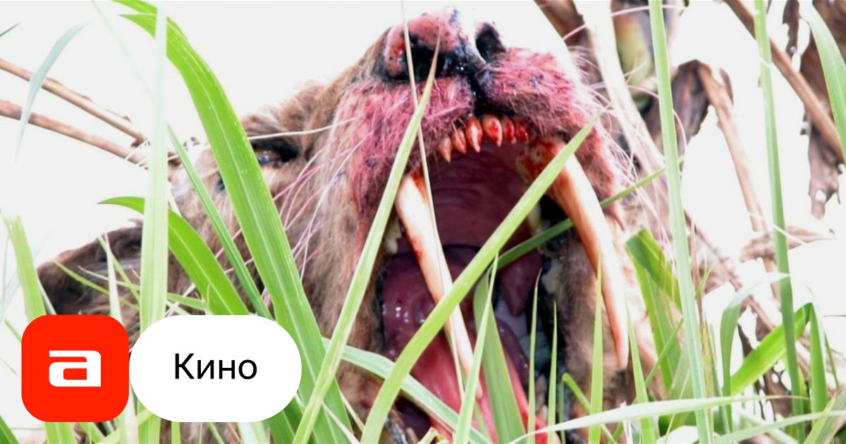 Фильм Саблезубый (США, 2002) – Афиша-Кино