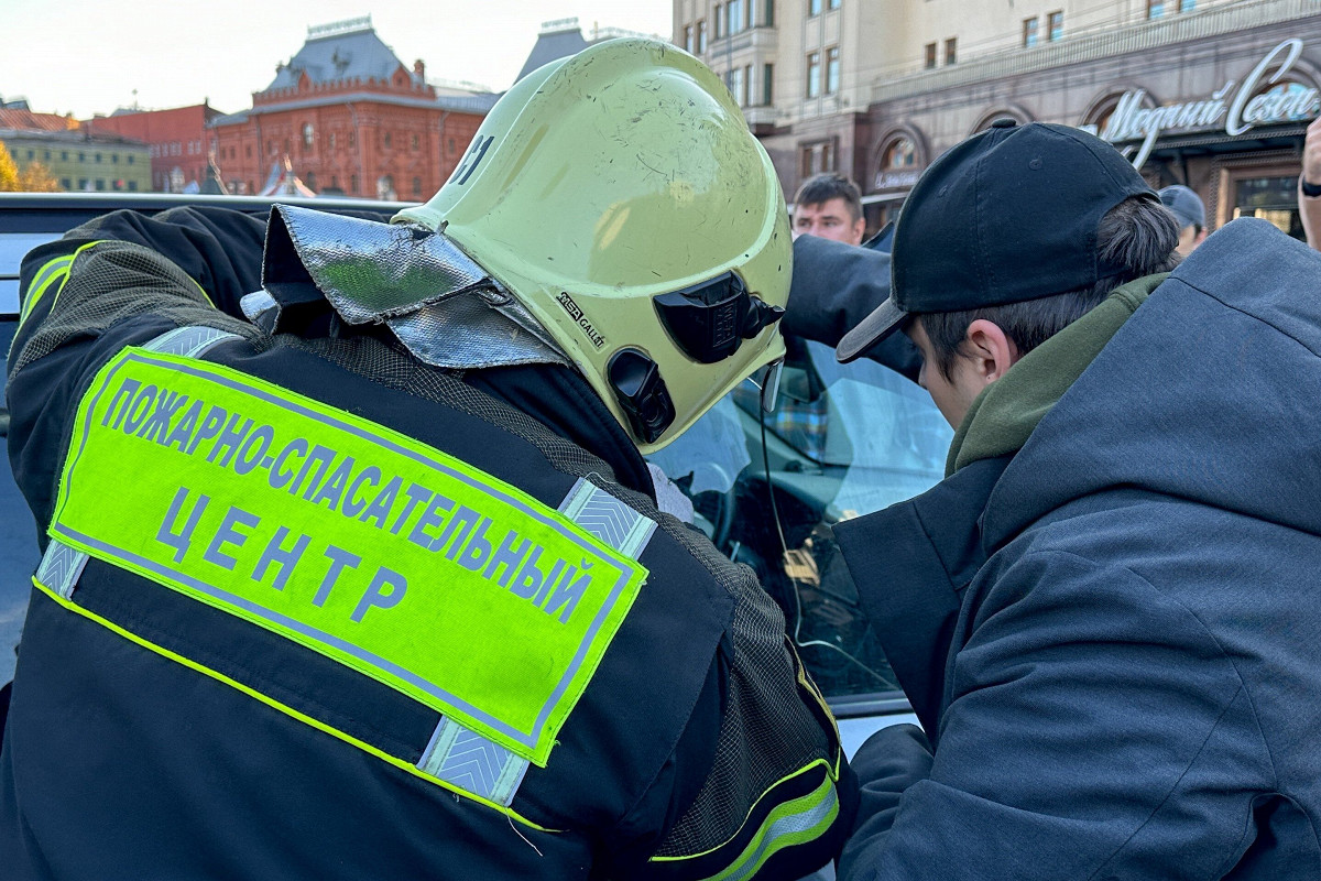 В Москве спасли кота из запертой машины - Афиша Daily