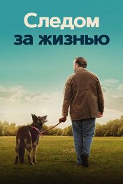 Следом за жизнью / After Life