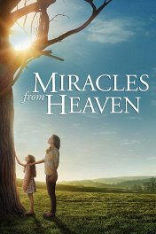 Чудеса с небес / Miracles from Heaven