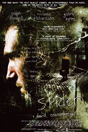 Паук / Spider