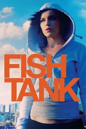 Аквариум / Fish Tank