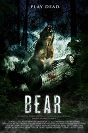Медведь / Bear