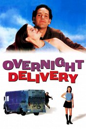 Ночная посылка / Overnight Delivery