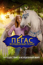 Пегас: Волшебный пони / Pegasus: Pony with a Broken Wing